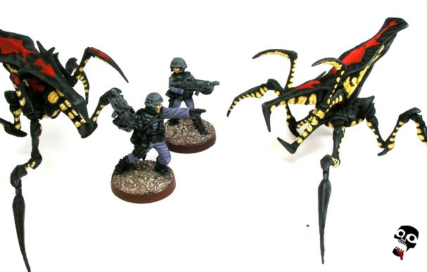 Miniature Figure painted by Neldoreth - An Hour of Wolves & Shattered Shields